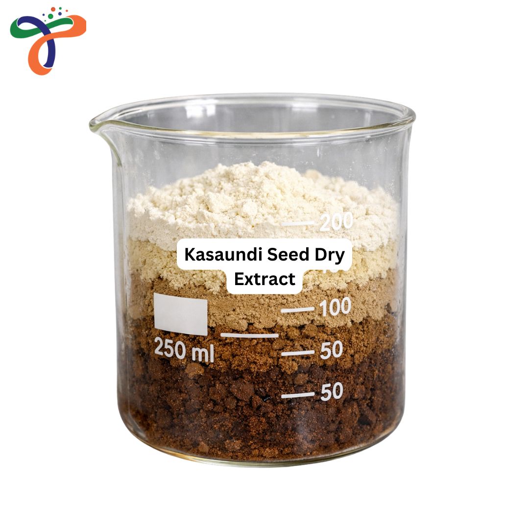 Kasaundi Seed Dry Extract